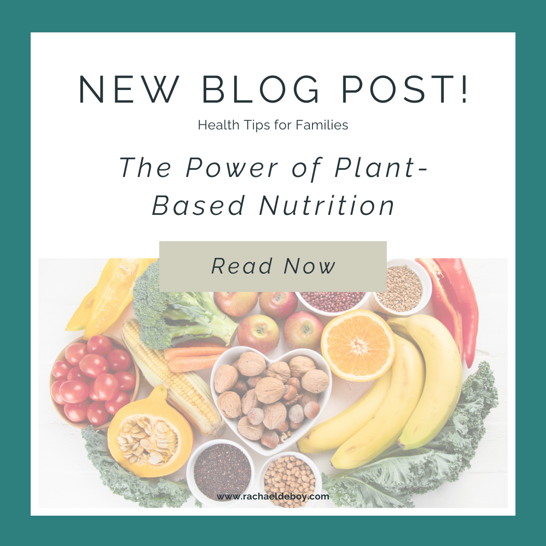 Fresh fruits, vegetables, nuts, and grains showcasing the power of plant-based nutrition, a key focus of Rachael DeBoy's health and wellness philosophy at Wellness with Rachael.