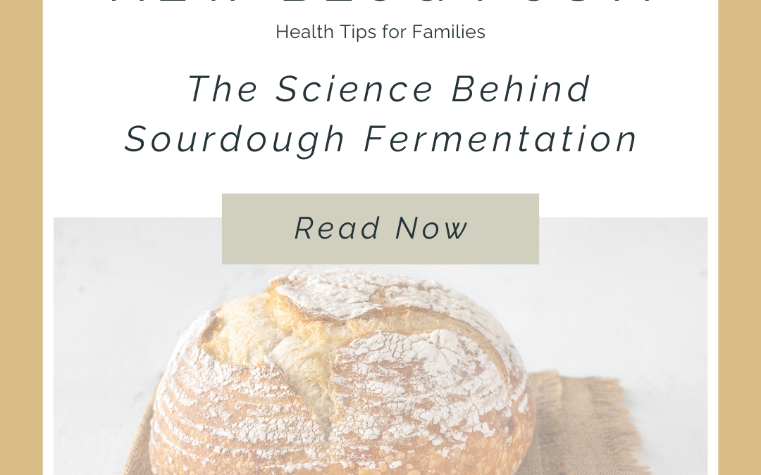 How Fermentation Makes Sourdough Bread Better for You
