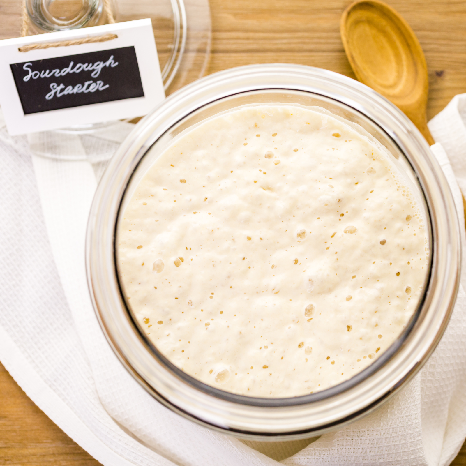 Overhead photo of bubbly sourdough starter in a jar with a wooden spoon, highlighting starter maintenance tips by Rachael DeBoy Wellness.